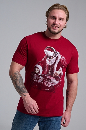 Мужская футболка 8581 / бордо+диско дедМ