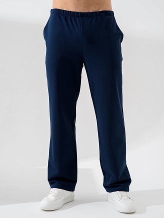 Мужские брюки "Рекорд" 2363-Фут / Синий