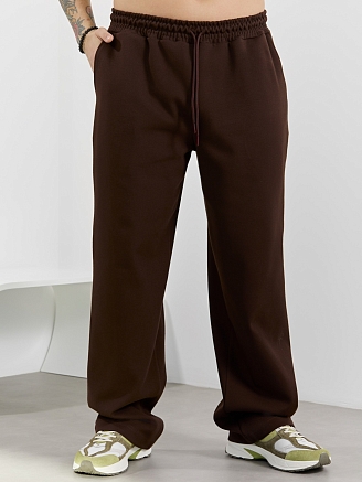 Мужские брюки Интер-2 / коричневый