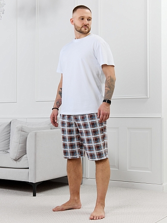 Мужские шорты Тор-2.1 / клетка разноцветная