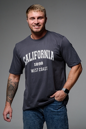 Мужская футболка 8503/1 / антрацит+калифорния