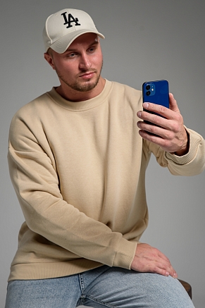 Мужской свитшот 14421 / бежевый