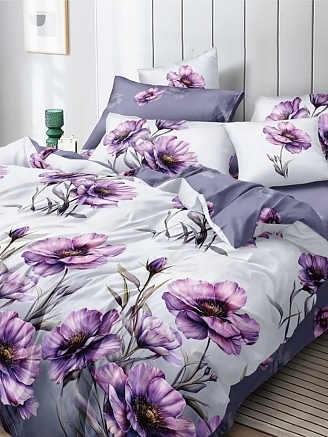 Постельное белье поплин Эксклюзив (молния) / Мистер Фоккер