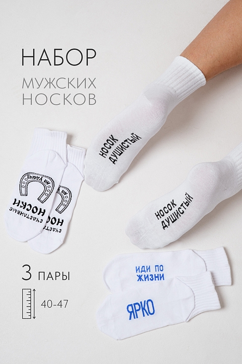 Носки мужские стандарт Удача (набор 3 пары) / белый