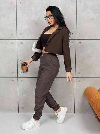 Женские брюки мод.1936/5 / Коричневый