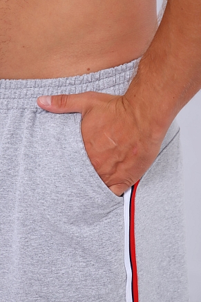 Мужские шорты 35336 / серый