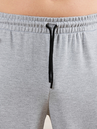 Брюки мужские Тор-4.2 / серый меланж