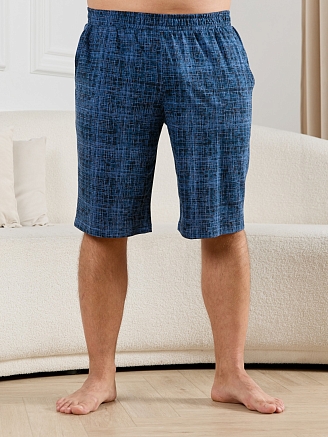 Шорты мужские Тор-2 / лён