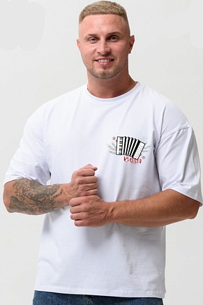 Мужская футболка 8579 оверсайз / белый+гармонь