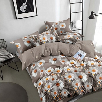 Постельное белье поплин набивной Зима-лето / В ассортименте