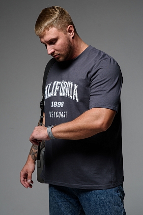 Мужская футболка 8503/1 / антрацит+калифорния