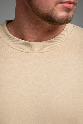 Мужской свитшот 14421 / бежевый