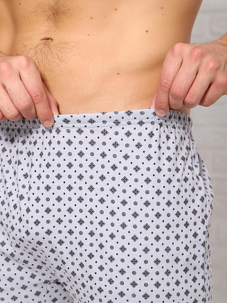 Мужские трусы-боксеры Промо уно / серый