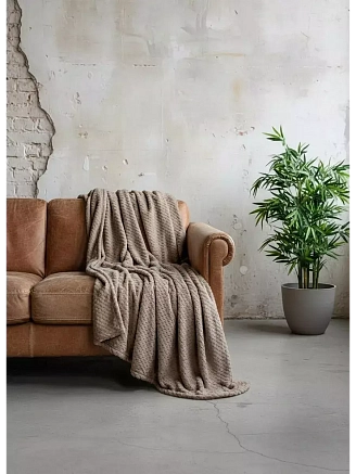 Плед велсофт арт. ПЛЕД100 / Капучино