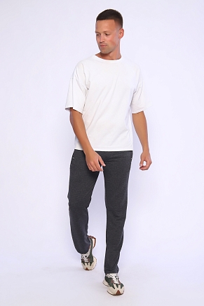 Брюки мужские 22231 / антрацит