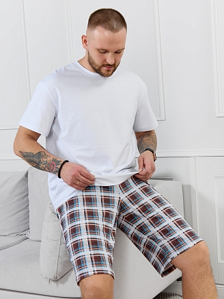 Мужские шорты Тор-2.1 / клетка разноцветная