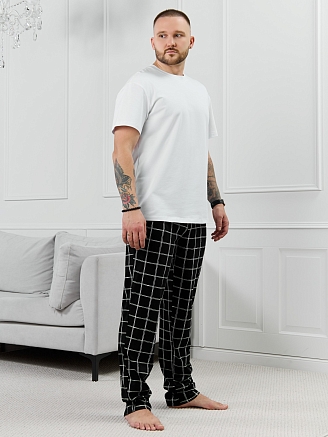 Мужские брюки Тор-1.1 / клетка линеарная