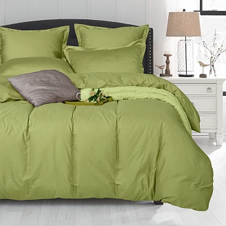 Постельное белье сатин Элегант / Олива