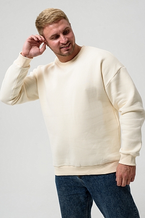 Мужской свитшот 14421 / молочный