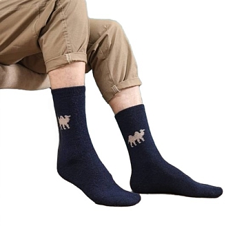 Мужские носки верблюжья шерсть В2606